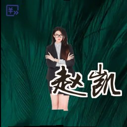 赵凯